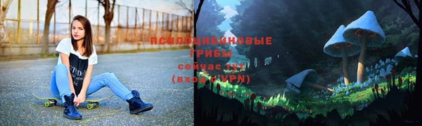 мет Баксан