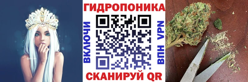 Шишки марихуана VHQ  Нерюнгри 